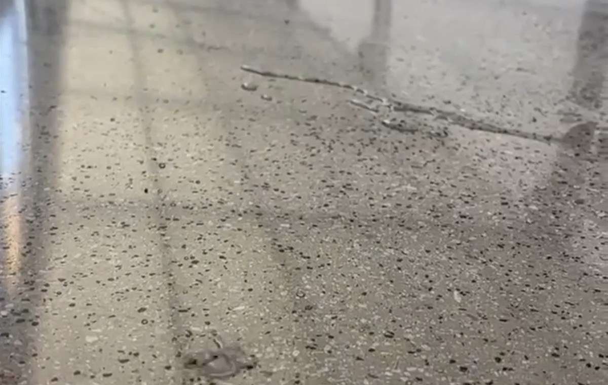 Beton Silim ve Parlatma